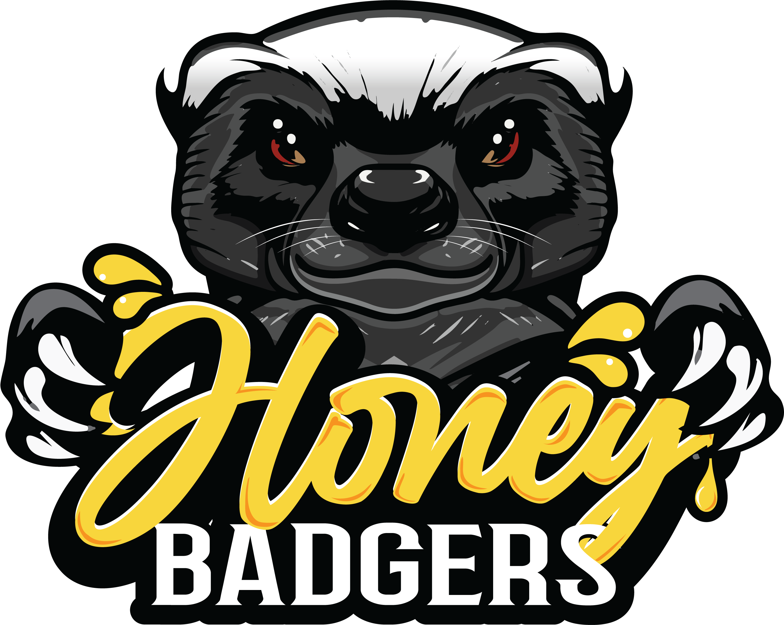 Tucson Honey Badgers basketball logo